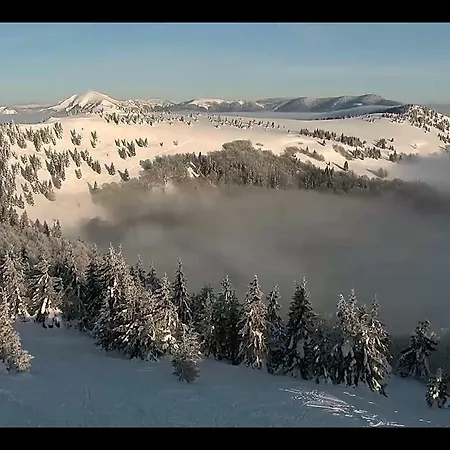 Bruno - Free Parking Доновалы