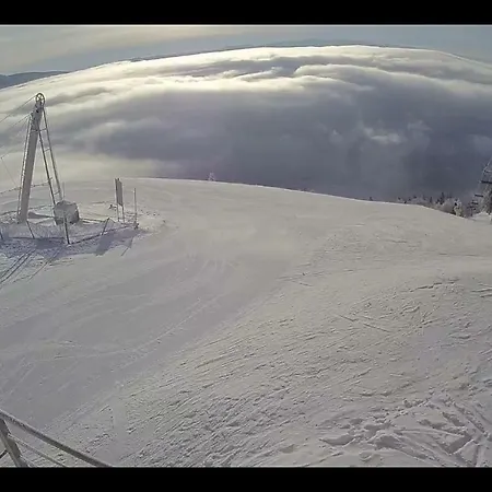 Bruno - Free Parking Доновалы